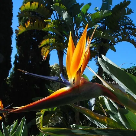 La Casa Del Burro Отель типа 