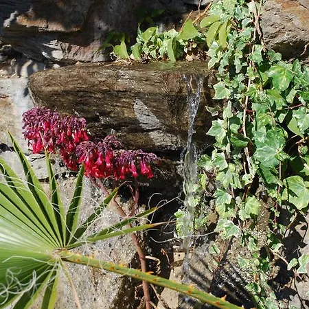 La Casa Del Burro Нерха