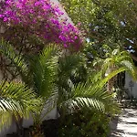 La Casa Del Burro Oda ve Kahvaltı 3*