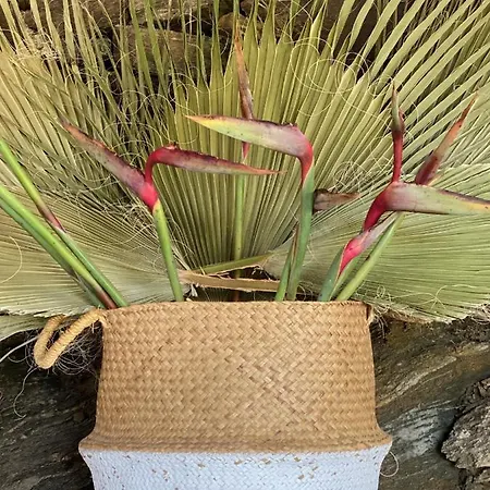 Bed & Breakfast La Casa Del Burro Nerja