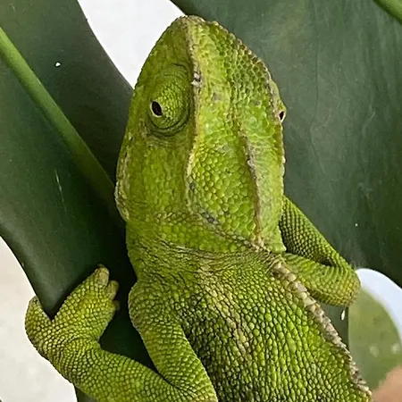 Bed & Breakfast La Casa Del Burro