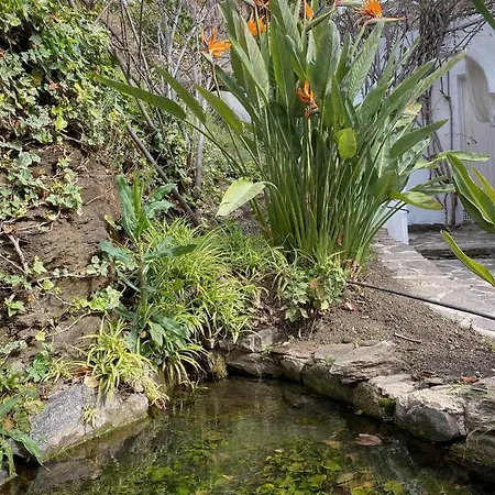 La Casa Del Burro 3*