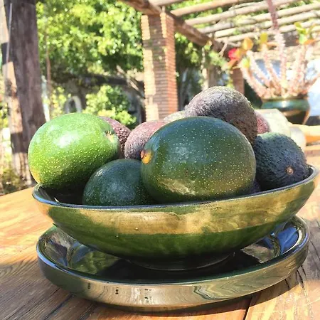 לינה וארוחת בוקר La Casa Del Burro 3*