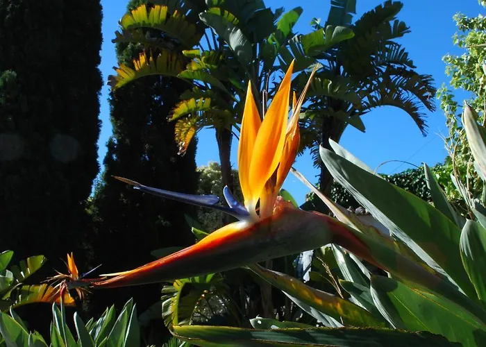 La Casa Del Burro Bed & Breakfast Nerja