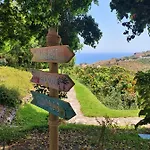 La Casa Del Burro Bed and Breakfast