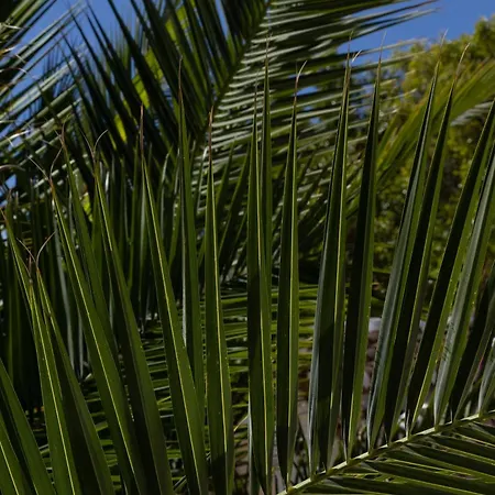 Couette-café La Casa Del Burro Nerja