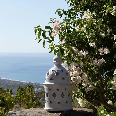 Bed & Breakfast La Casa Del Burro