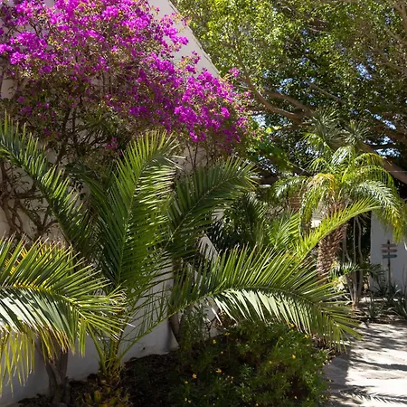 La Casa Del Burro Bed & Breakfast *