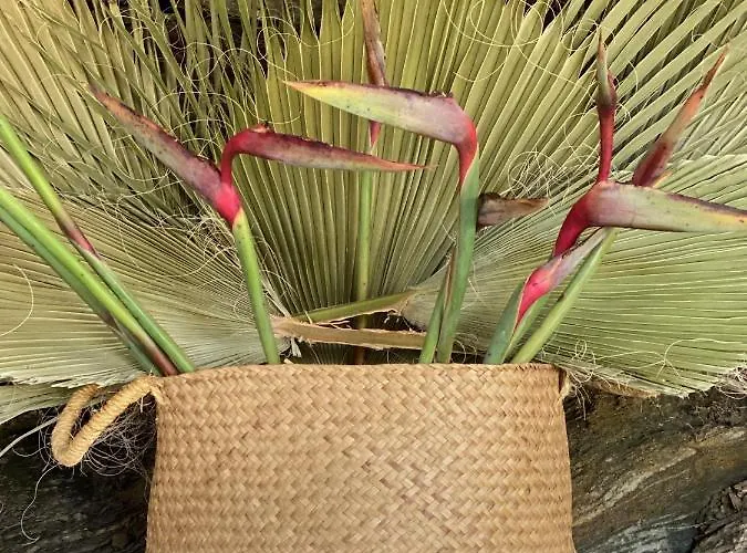 Bed and breakfast La Casa Del Burro Nerja