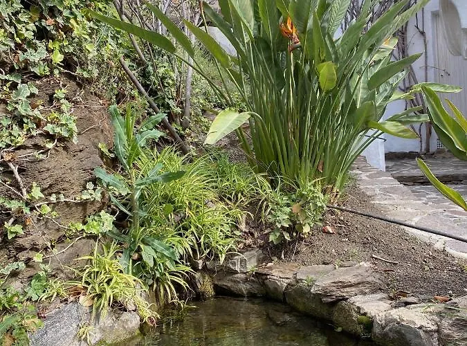 La Casa Del Burro 3*