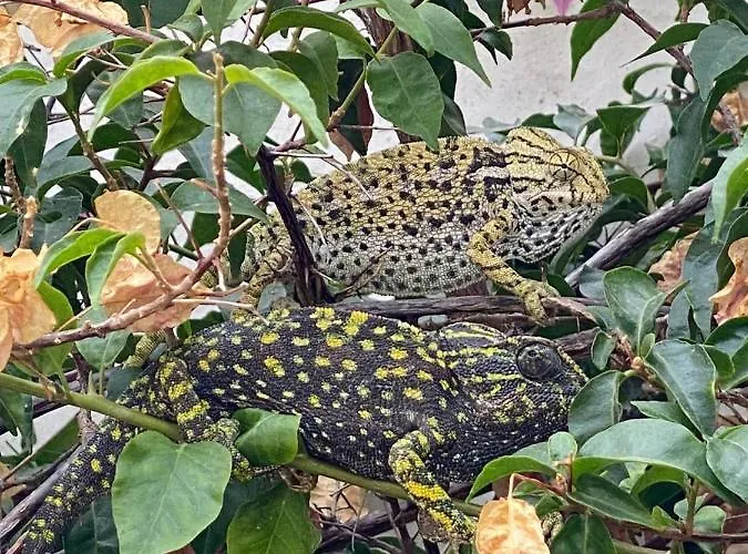 La Casa Del Burro Bed & Breakfast