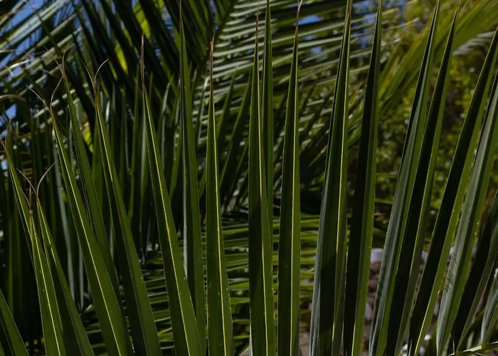 Bed and breakfast La Casa Del Burro Nerja