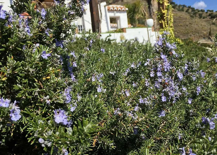 La Casa Del Burro 3*