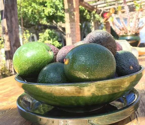 Bed and breakfast La Casa Del Burro 3*