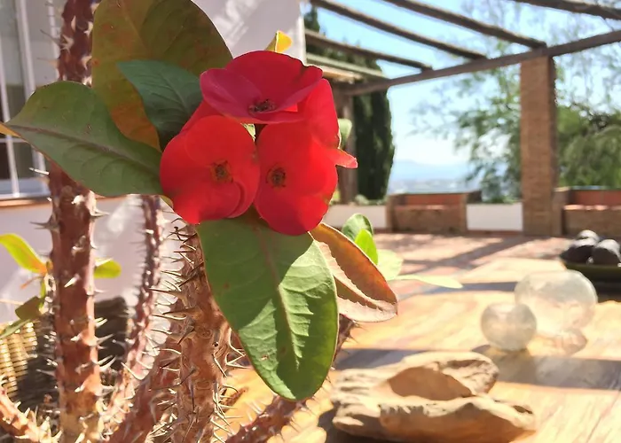 La Casa Del Burro Bed and breakfast 3*