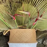 Bed and breakfast La Casa Del Burro Nerja