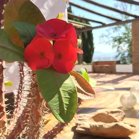 La Casa Del Burro Bed & Breakfast 3*