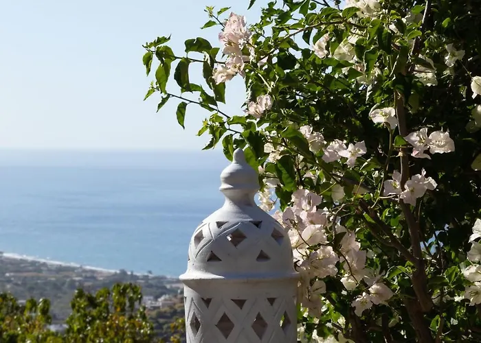 Bed & Breakfast La Casa Del Burro