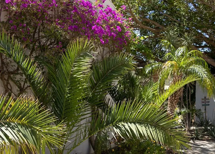 La Casa Del Burro Bed & Breakfast 3*