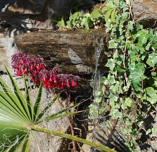 La Casa Del Burro Nerja
