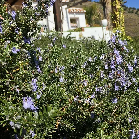 La Casa Del Burro 3*